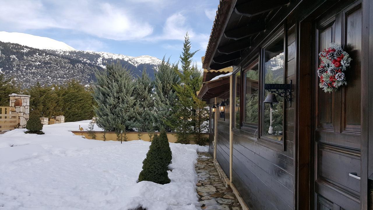 Mountain Chalet Livadi Arájova Exterior foto